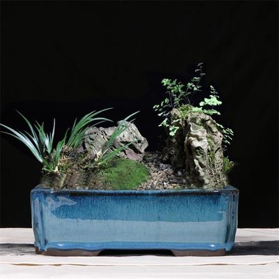 Pots vitrés 30.3cmx21.6cmx10.5cm en céramique bleus de bonsaïs