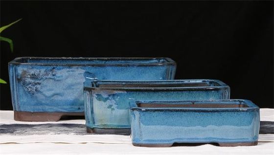 Pots vitrés 30.3cmx21.6cmx10.5cm en céramique bleus de bonsaïs